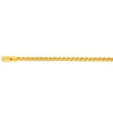 Load image into Gallery viewer, Stainless Steel Yellow Gold Plated Large Belcher 21cm Bracelet